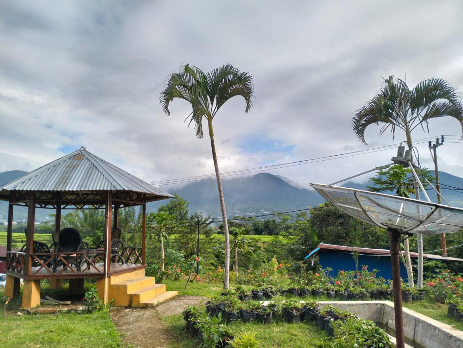 Hobbit Hill Apartamento Ruteng Exterior foto